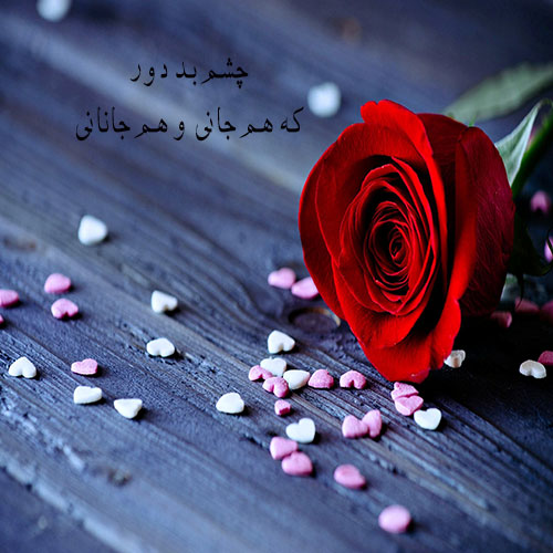 عکس پروفایل گل عاشقانه + تصاویر نوشته دار رمانتیک با پس زمینه گل