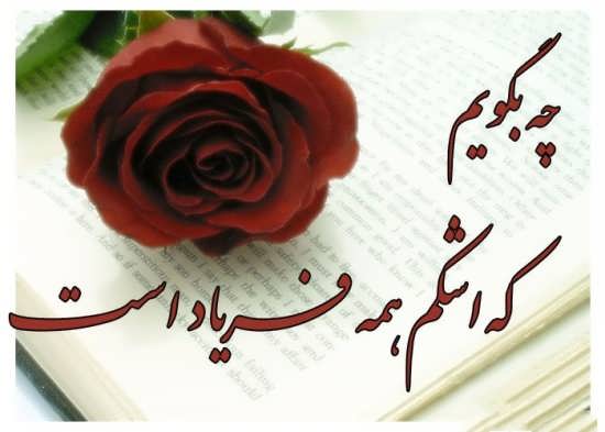 تصاویر گل های عاشقانه همراه با متن های زیبا برای پروفایل