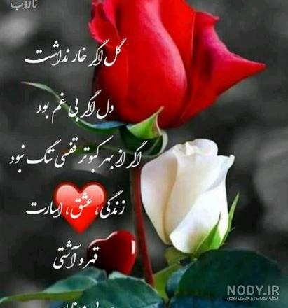 عکس گلهای زیبا نوشته دار - عکس نودی