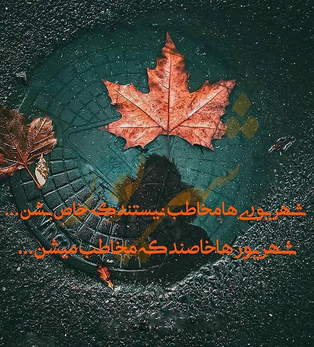 25 عکس تبریک تولد شهریور ماهی + متن ها و جملات شهریوری