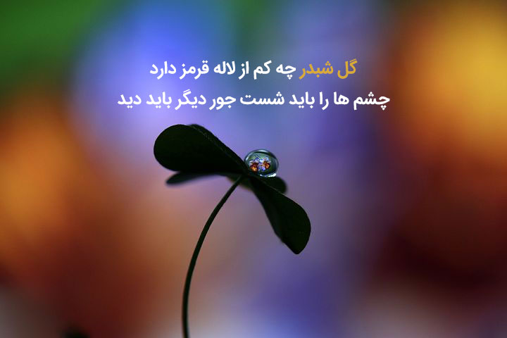 گزیده شعر زیبای سهراب سپهری درباره زندگی
