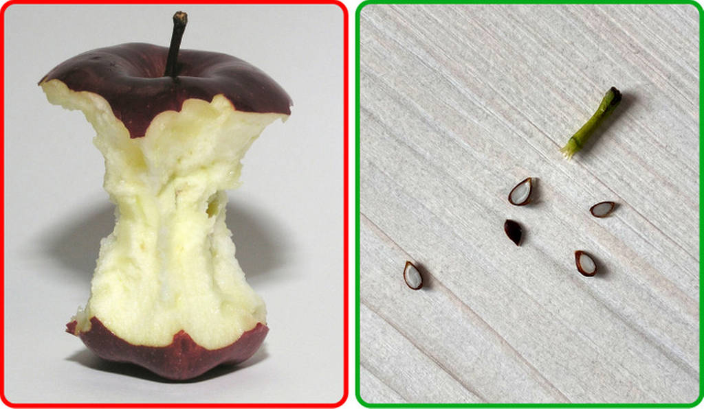 کارهای ساده و روزمره ای که همه عمر اشتباه انجام شان داده ایم