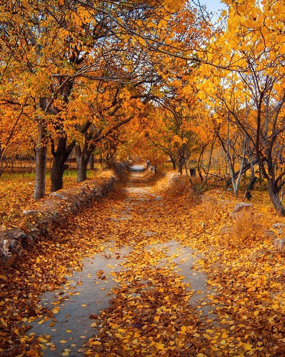 پاییز شهر خوانسار